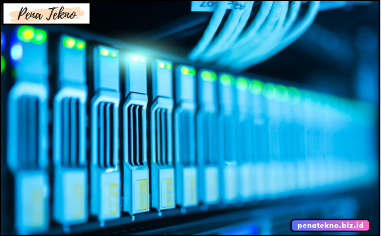 4 Jenis Utama Jaringan Komputer Berdasarkan Fungsinya