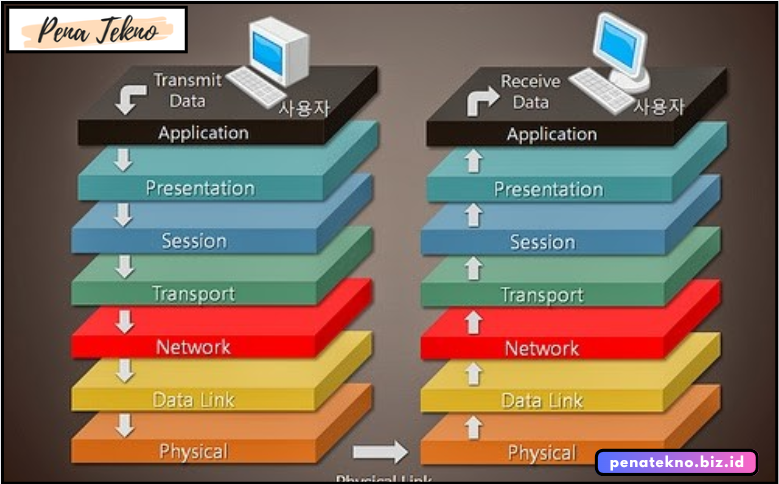 Lapisan Jaringan dan Peranannya dalam Pengiriman